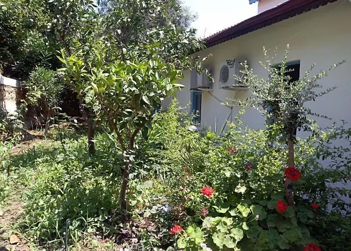 Lemon Отель Каш