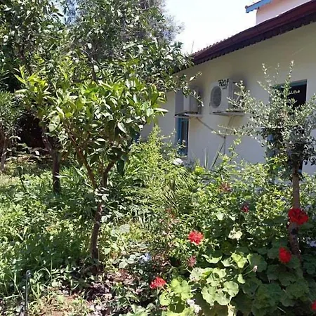 Lemon Hotel Kaş