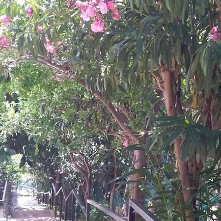 Lemon Hotel Kaş